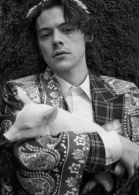 Harry Styles returns in a new Gucci Tailoring campaign shot in 